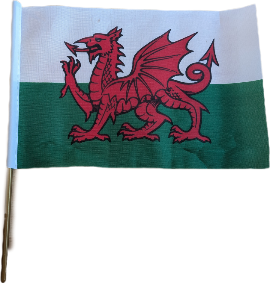 Baner chwifio Cymru 6 x 9