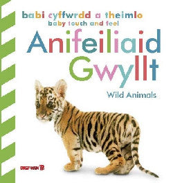 Cyffwrdd a Theimlo Anifeiliaid Gwyllt