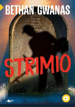 Cyfres Amdani Mynediad: Strimio