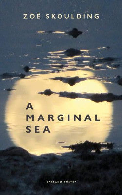 A Marginal Sea By Zoë Skoulding