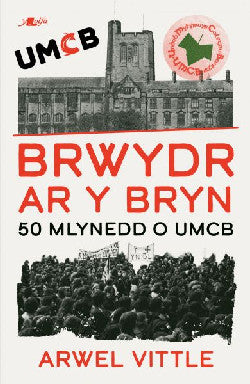 Brwydr ar y Bryn gan Arwel Vittle
