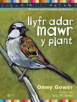 Llyfr Adar Mawr y Plant