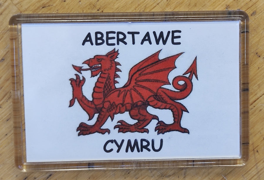 Magned Abertawe Cym