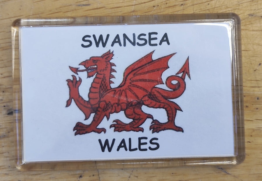 Magned Swansea