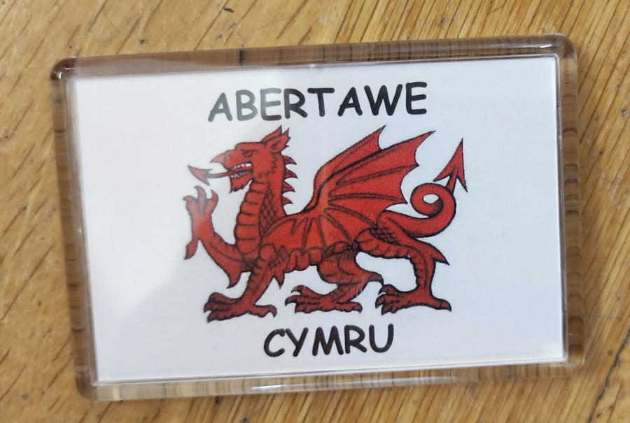 Magned Draig Abertawe