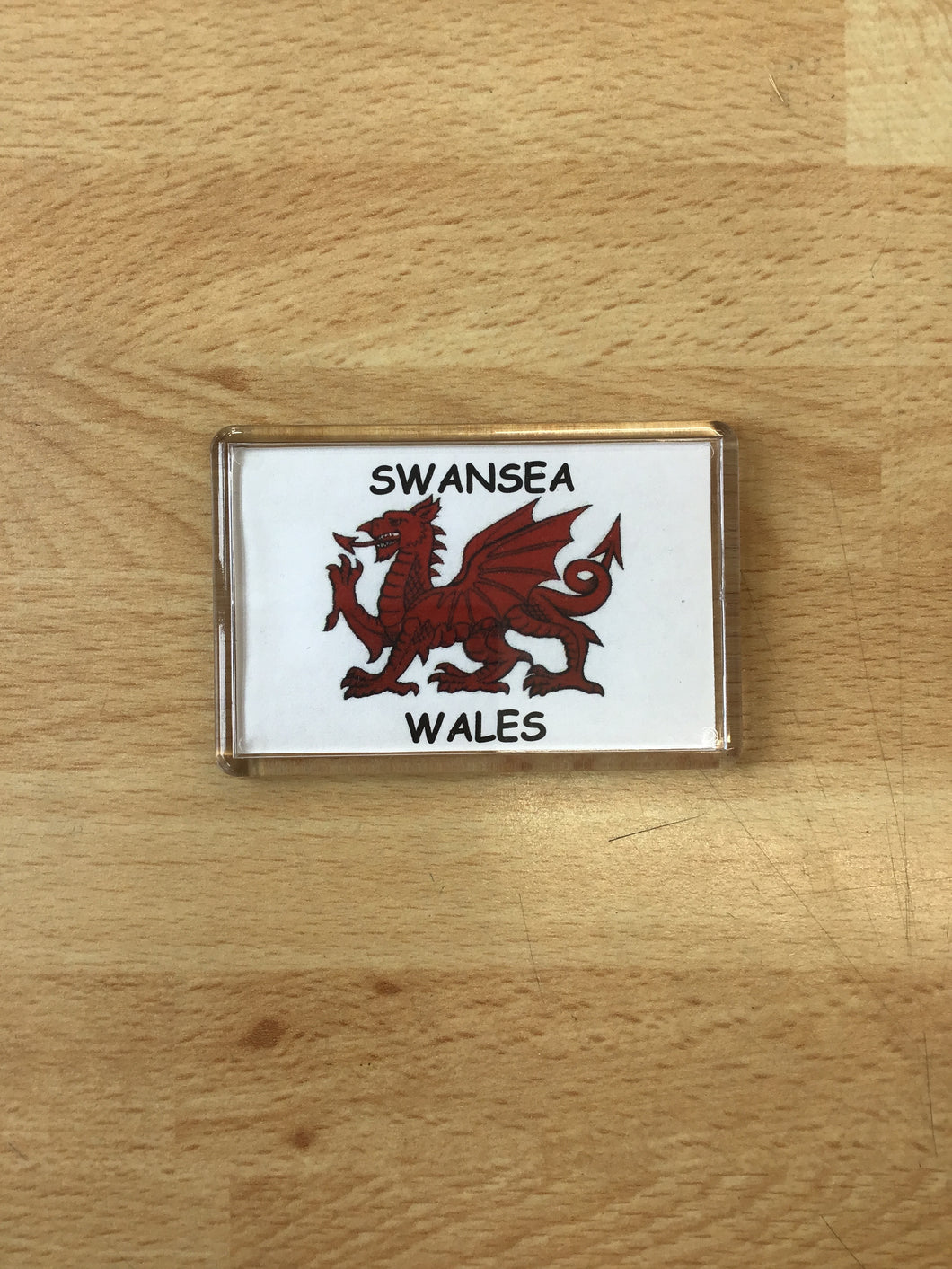 Swansea Magnet